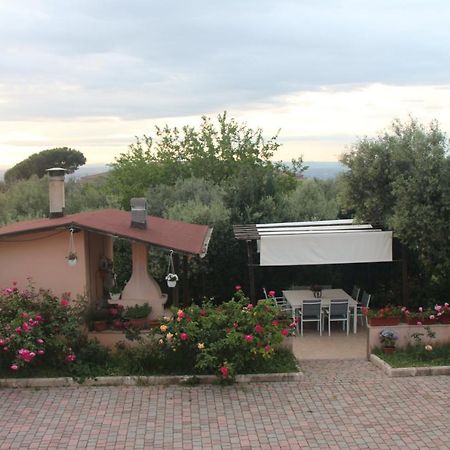 B&B La Terrazza Di Frascati Luaran gambar