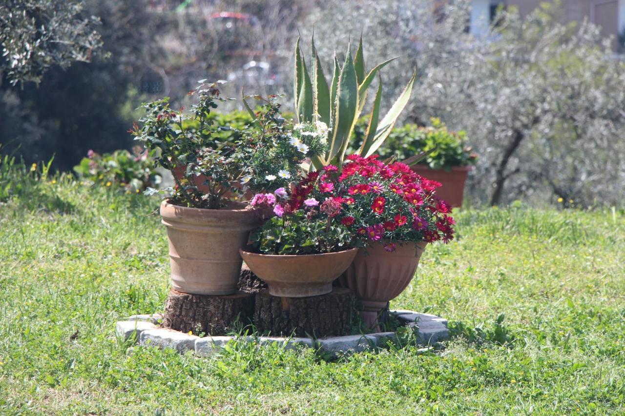 B&B La Terrazza Di Frascati Luaran gambar