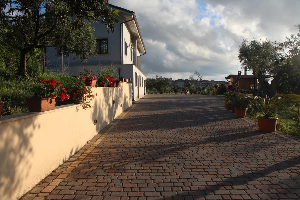 B&B La Terrazza Di Frascati Luaran gambar
