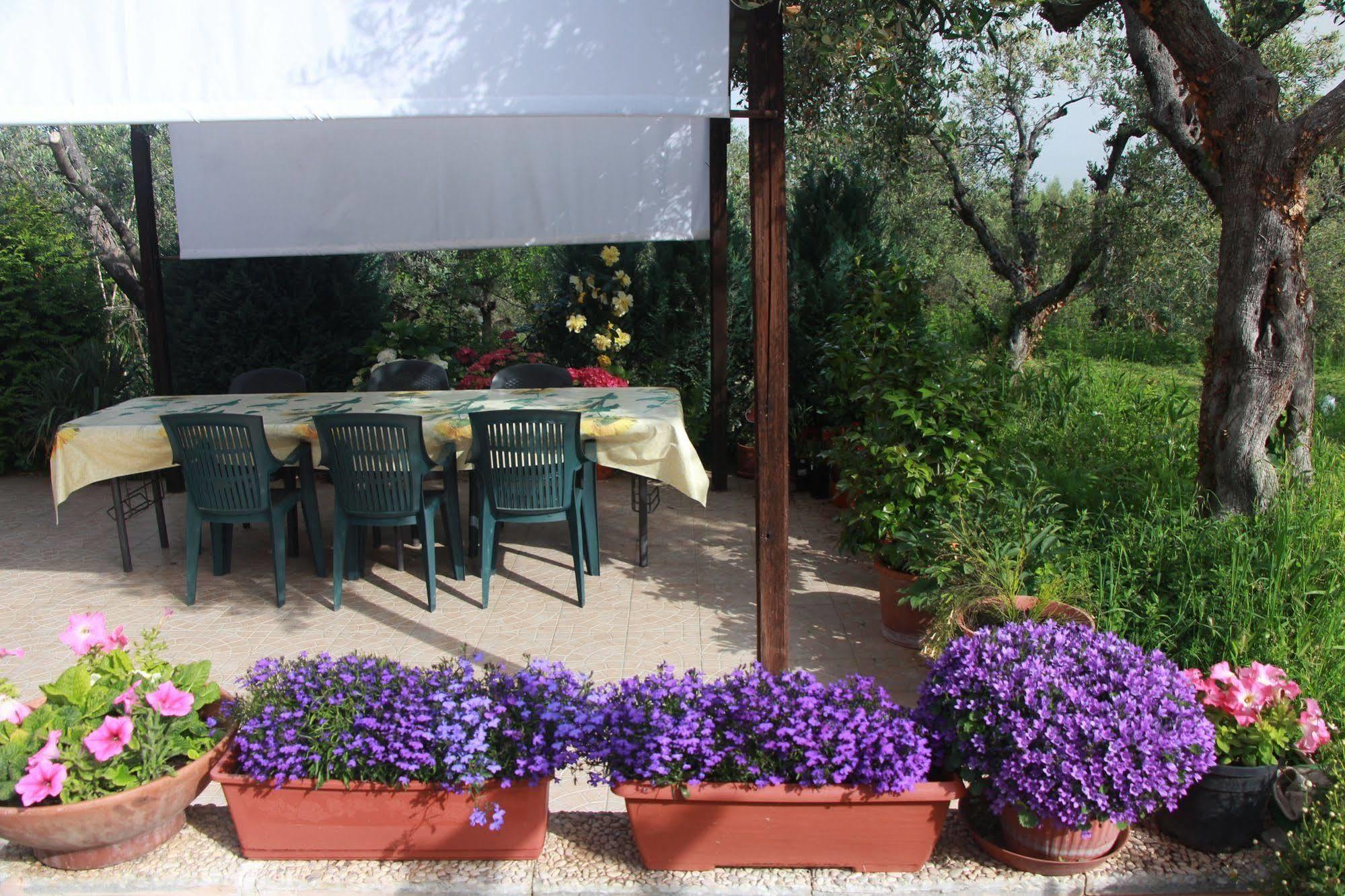 B&B La Terrazza Di Frascati Luaran gambar